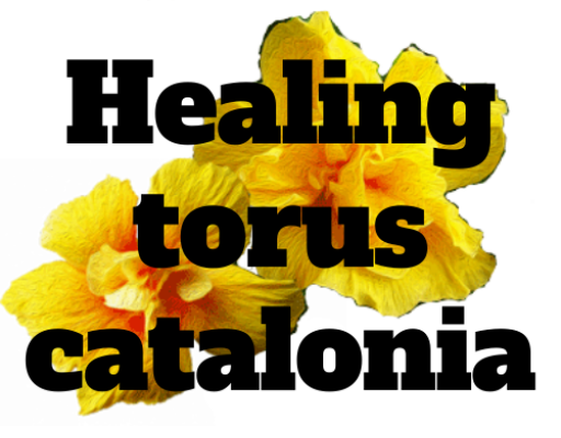 Healingtoruscatalonia